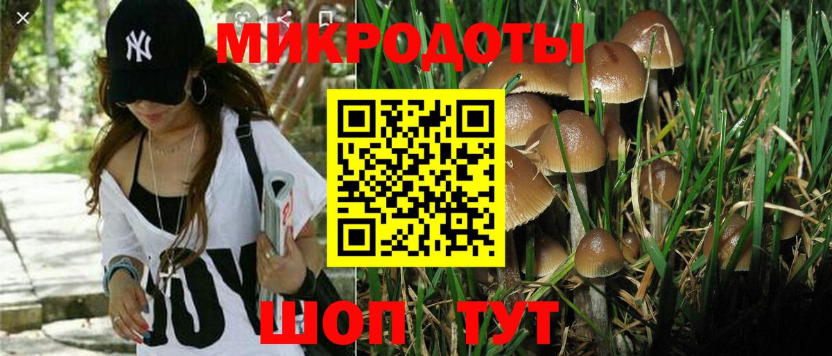 Псилоцибиновые грибы мухоморы Бутурлиновка