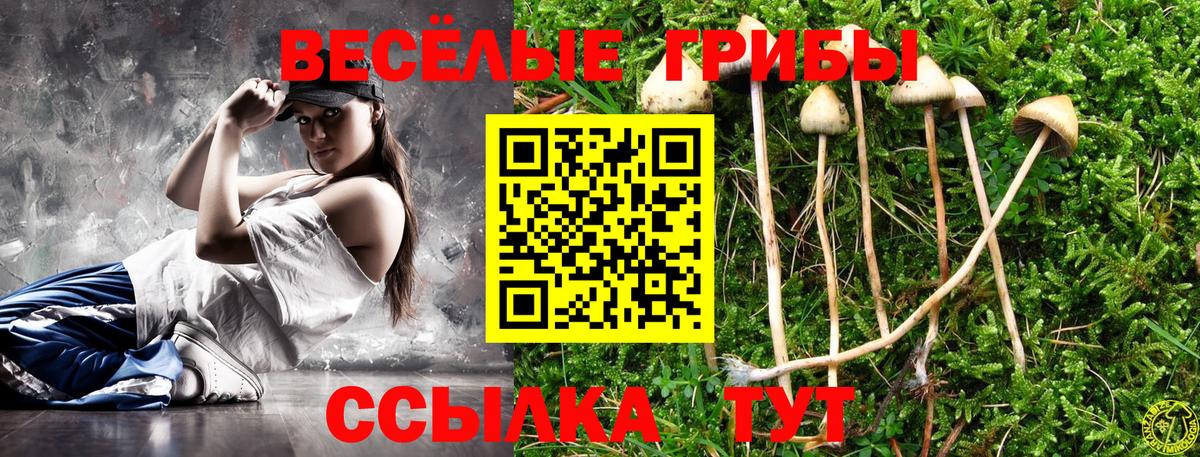 Псилоцибиновые грибы GOLDEN TEACHER  Вход с VPN  Бутурлиновка 